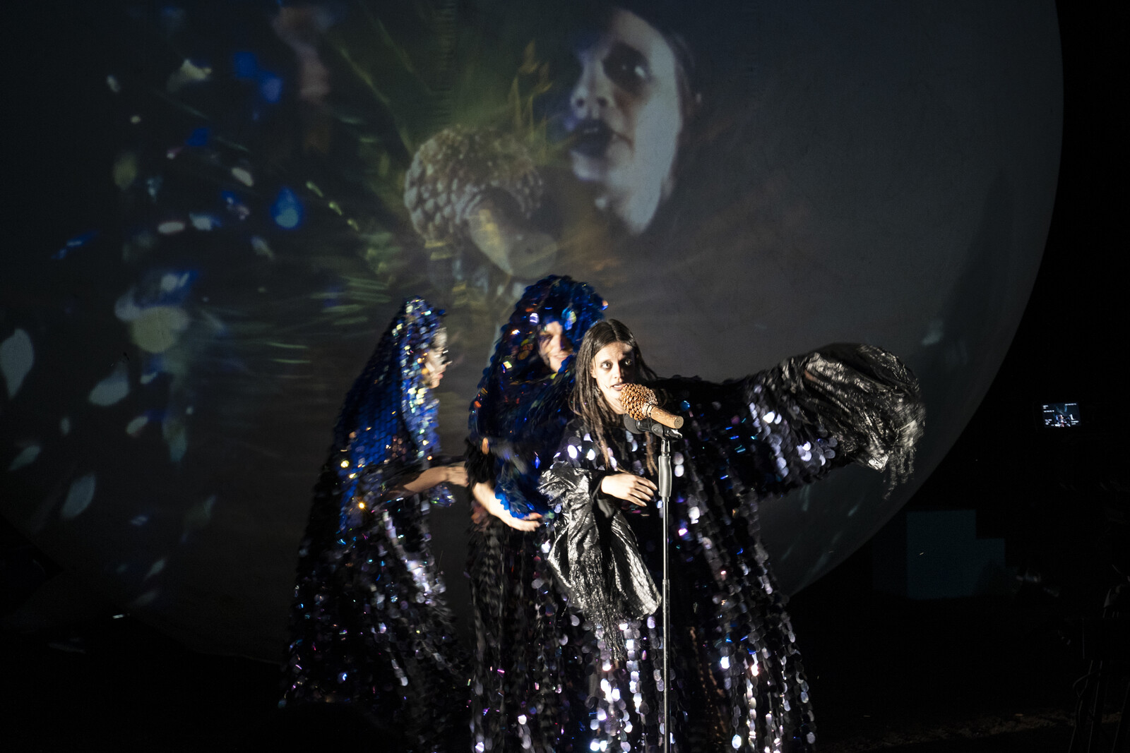 Lea Reihl, wearing a large black glittery cape, stands in front of a microphone; her face is projected behind her.