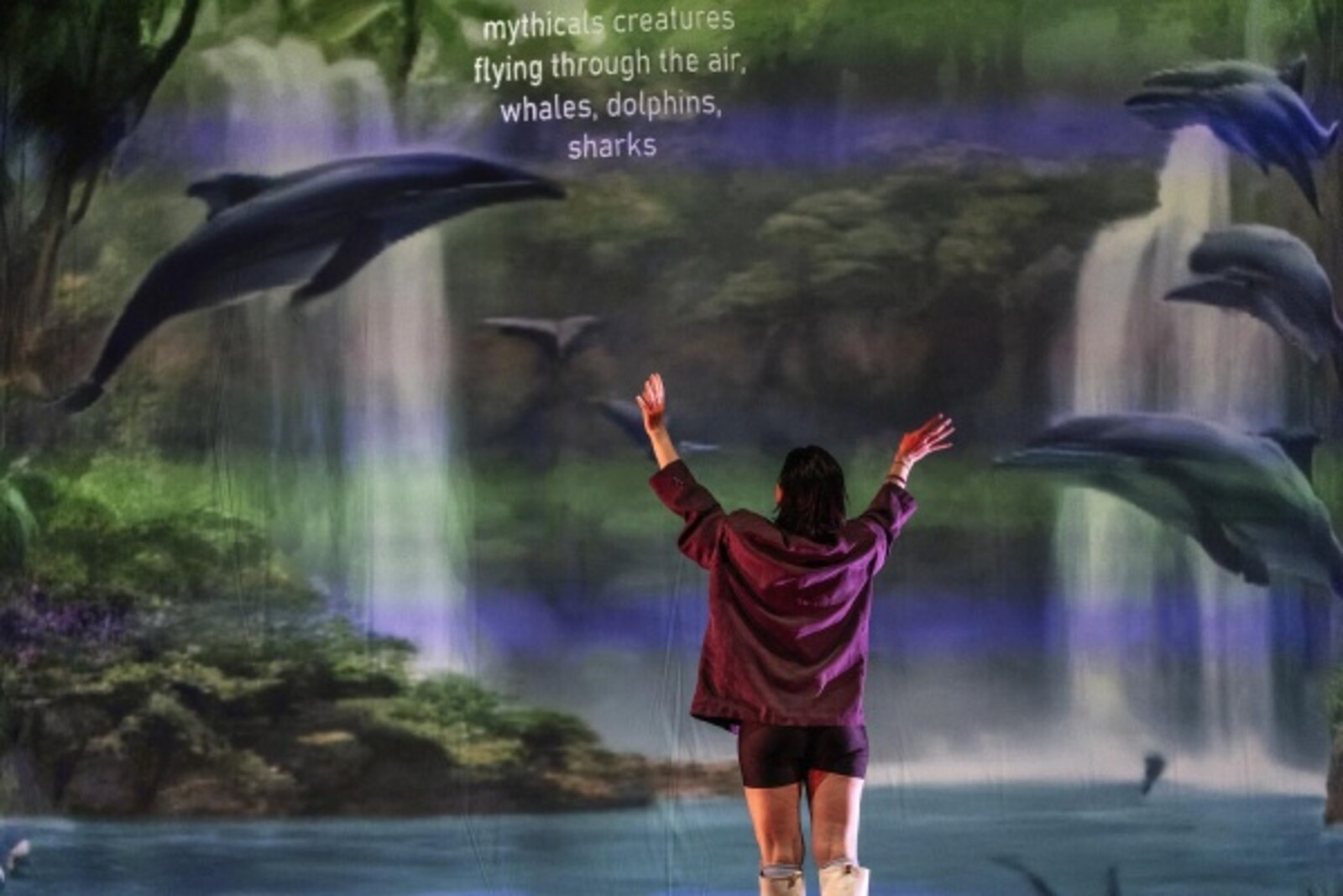 Dolphins on the wall Projected, with text, a woman stands with her back turned and trains the dolphins.